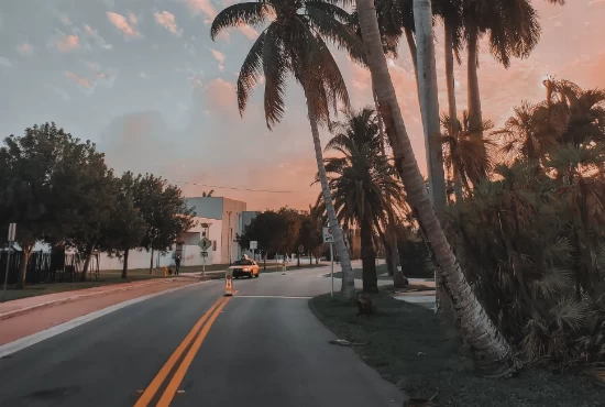 Escape the City: Unveiling the Best Road Trips from Miami Beach